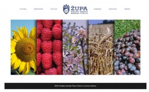 Hemijska industrija Župa